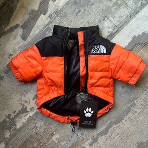 “The Dog Face” orange coat S